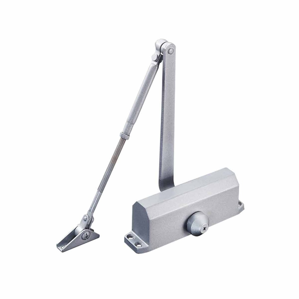 ACCESSPRO ACCESSDC CIERRAPUERTAS 40-65KG 