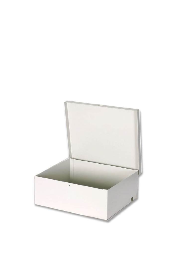 AV TT004 - Gabinete Metálico para Módulos DSC SECO LARM BEIGE Lamina  de Alta Calidad